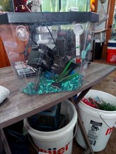 1 gal desktop aquarium  with