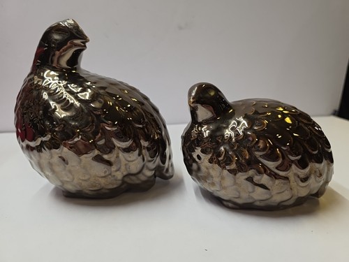 Brown glossy quail mom and - brown,