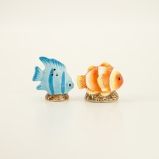 Clown fish salt - angel,