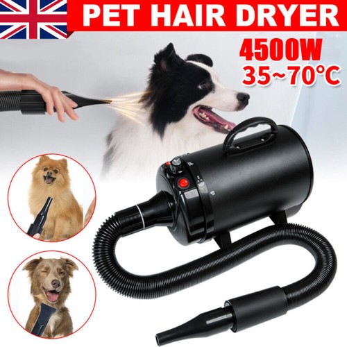4500w dog hair - dog, pet
