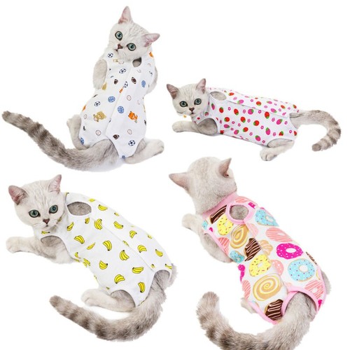 Pet surgery post operative - pet,