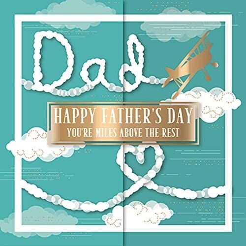 Plane dad miles above - dad,