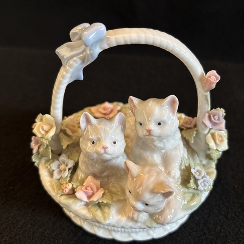 Royal albert style kittens - 3,