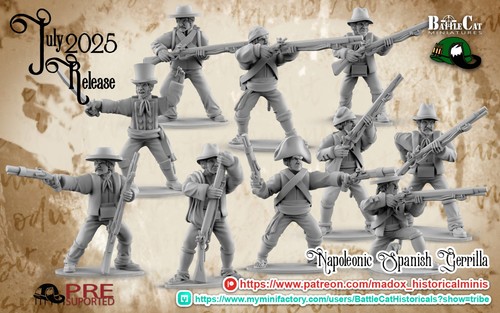 28mm napoleonic spanish - 28mm,