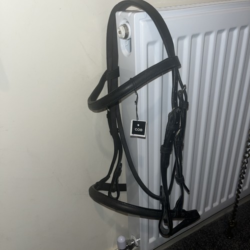 New black leather - leather, bridle