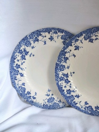 Antique dinner plates - antique,