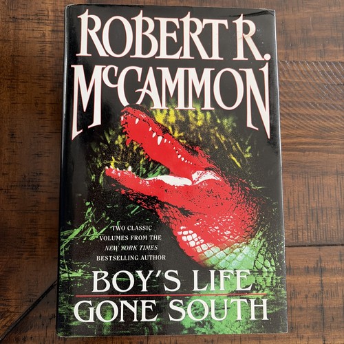 Boy life gone - life-gone, south
