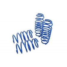 MANZO LOWERING SPRINGS FOR