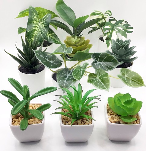 Artificial mini plants - mini,