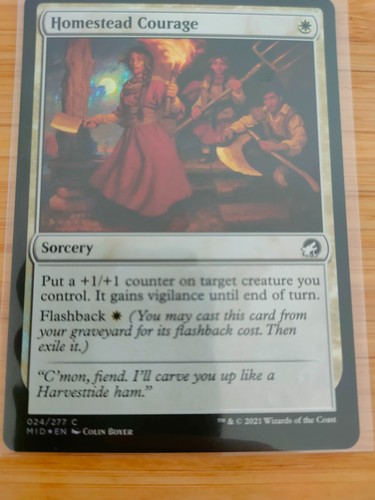 Mtg homestead courage - mtg,