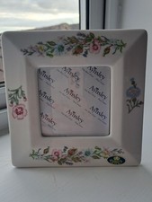 Vintage Aynsley Wild Tudor