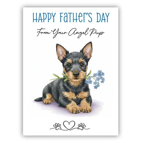 Australian terrier father - australian, father’s