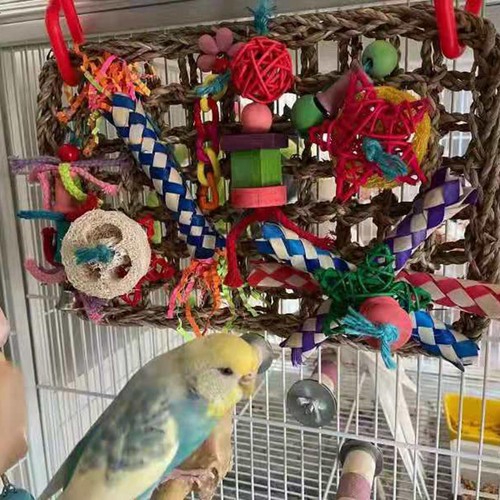 Parrots foraging toys - wall, toy