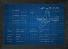 P40 Warhawk Framed Wall Art