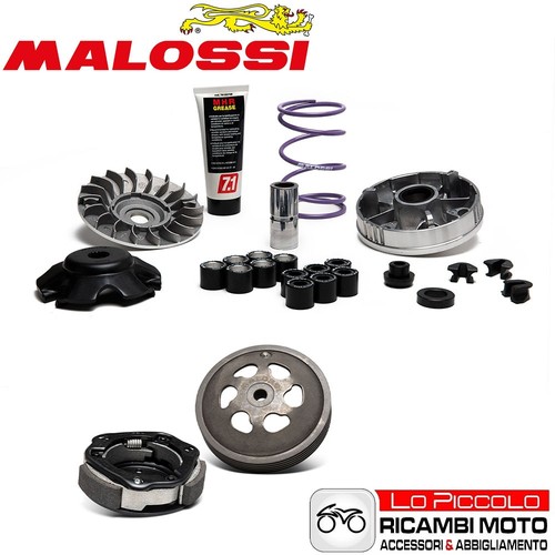 Variator kit multivar clutch - variator,