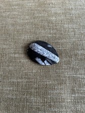 Orthoceras fossil polished - orthoceras,