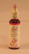 Bach Flower Remedies, Willow
