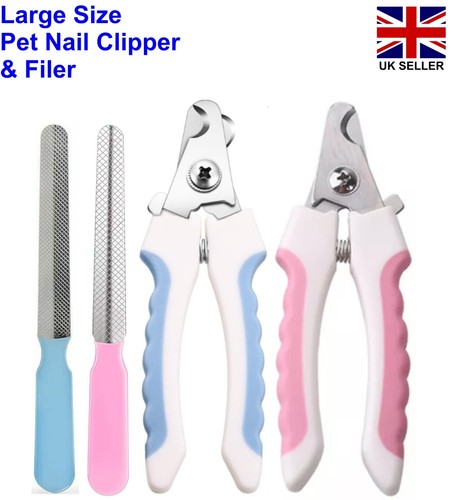 Large professional pet nail - large,