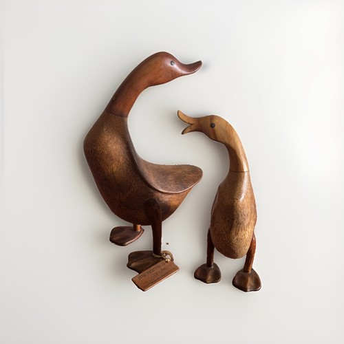 Dcuk the duck - dcuk,