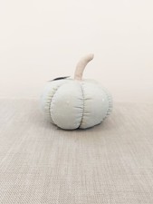 Next Sage Green Pumpkin Door