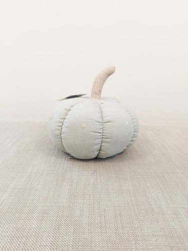 Next sage green pumpkin door - sage,