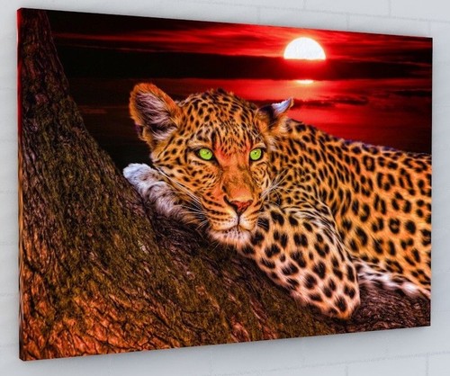 Abstract stunning leopard - stunning,