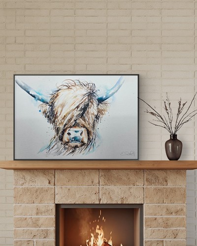 Original highland cow - highland,