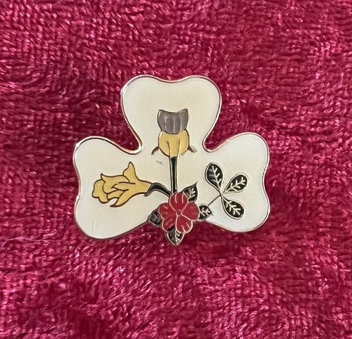 Girl guides international - girl,