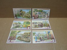 Liebig Botany Series of 6 Chromes Useful Exotic Plants