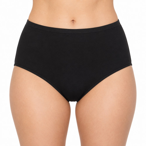 Ladies full briefs 5 - ladies,