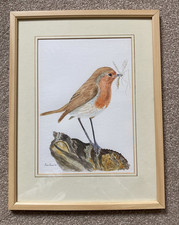 Vintage framed watercolour painting of a Robin by the artist  Eileen Ramuz 2002