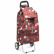 Shopping Trolley 2 Wheel