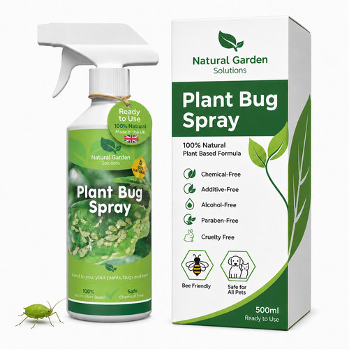Organic plant bug - organic,