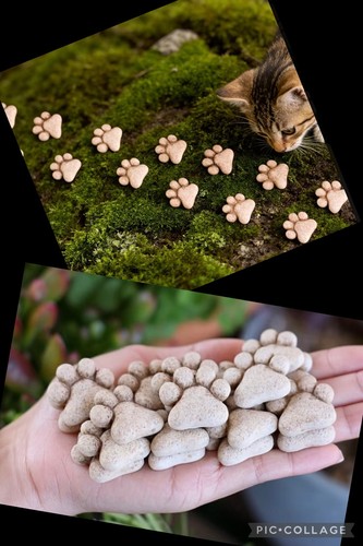 Pack miniature garden - of,