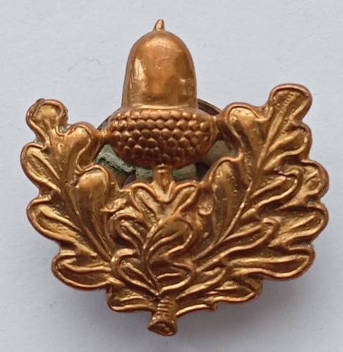 The cheshire regiment oak leaf - cheshire,