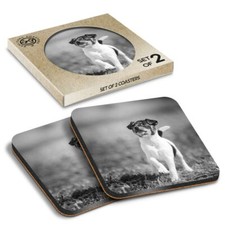 2 x Boxed Square Coasters - BW - Cute Fox Terrier Dog Puppy  #38169