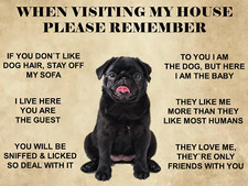 Funny Black Cute Pug Dog metal