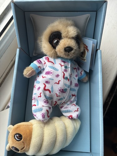 Compare the meerkat - meerkat, meerpup