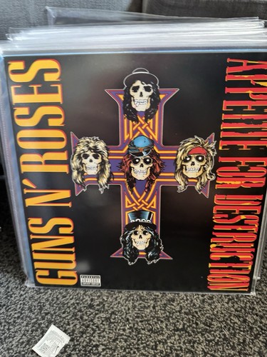 Guns roses appetite - guns,