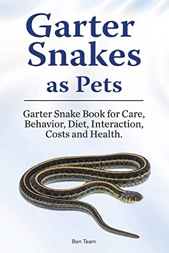 Garter snakes as pets - garter,