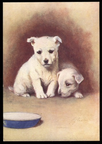 Tobacco card godfrey - tobacco, card,