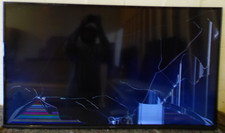 *DAMAGED SCREEN* Panasonic 55"