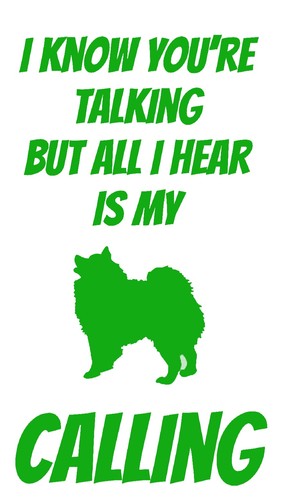 Pomeranian dog animalpet paw - dog,