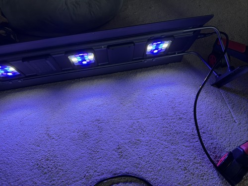 Maxspect rsx 150 aquarium - maxspect, r5-150