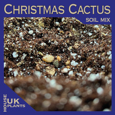 CHRISTMAS CACTUS Soil Mix