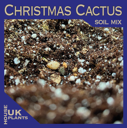 Christmas cactus soil mix - cactus,