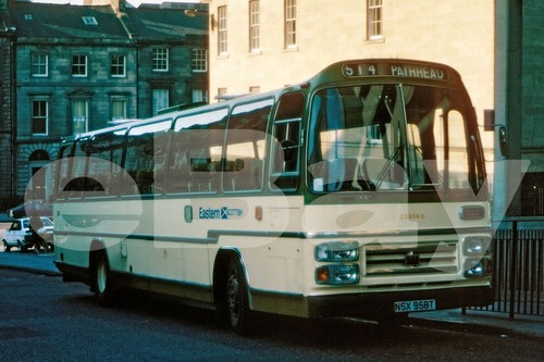 Coach photo dark eastern - photo,