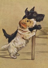 SEALYHAM TERRIER & SCOTTISH