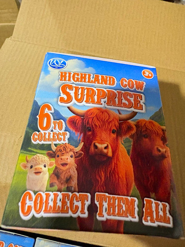 Wja highland cow surprise - highland,