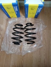 New Pair of Rear Coil Springs